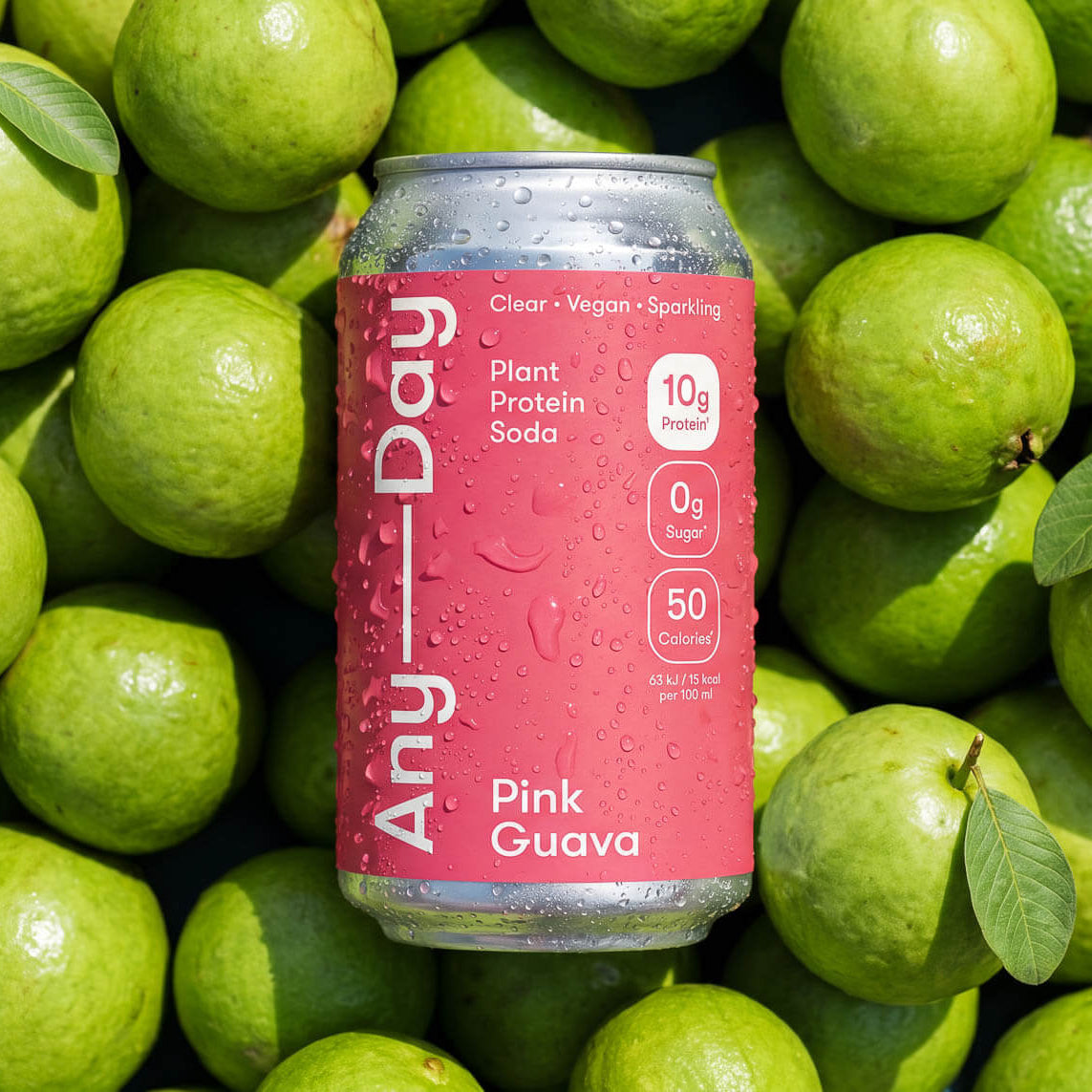 Anyday Pink Guava Plant Protein Soda - Dose mit pinken Etikett liegt auf grünen Guaven