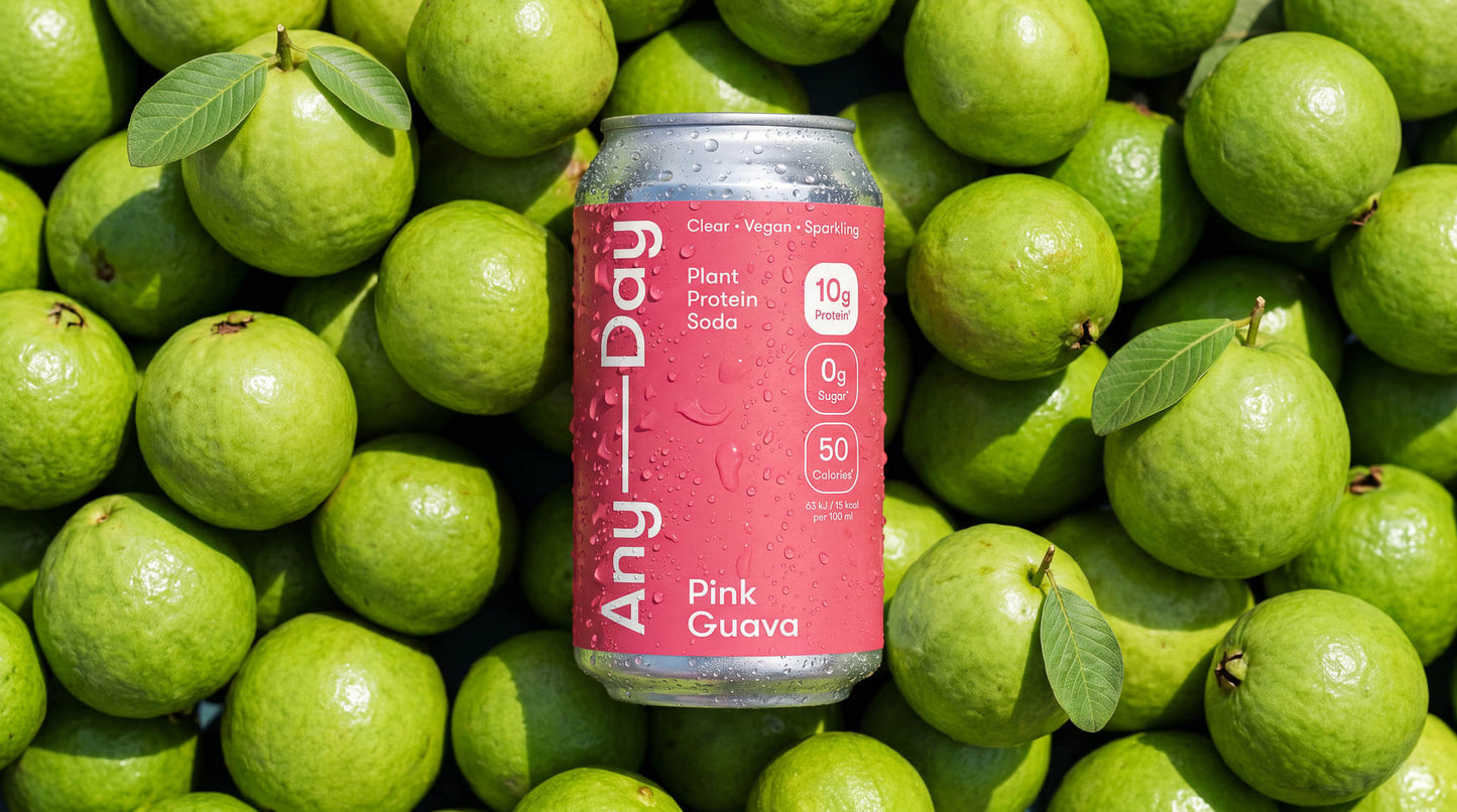 Anyday Pink Guava Plant Protein Soda - Dose mit pinken Etikett liegt auf grünen Guaven